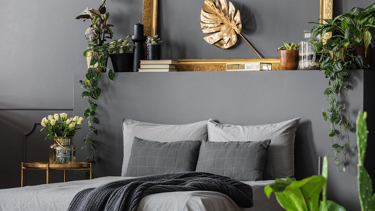 Растения в интерьере