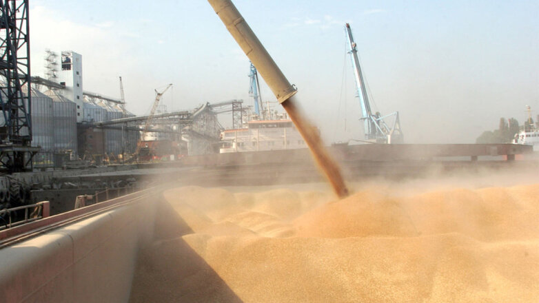 Песков: переговоров Путина с генсеком ООН по "зерновой сделке" пока не планируется