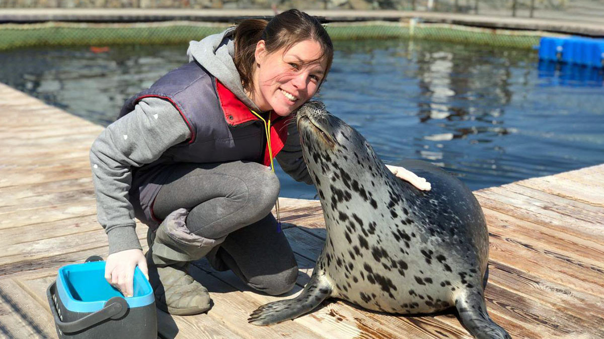 Тюлень Сэм и Варя