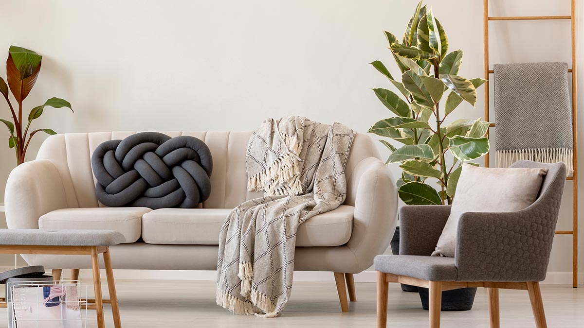 Растения в интерьере