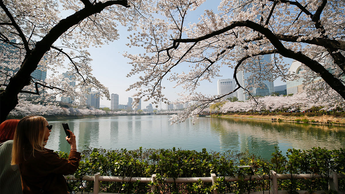 Туристы в парке Сеула, Южная Корея