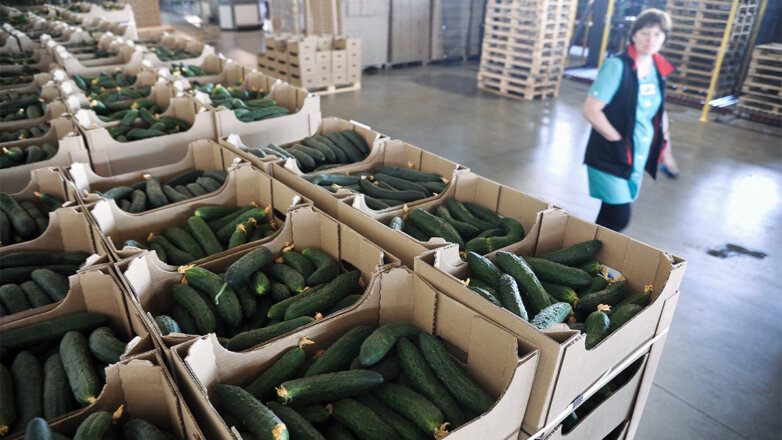 В России подорожали огурцы и подешевел репчатый лук