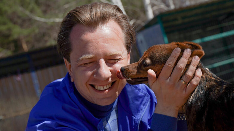 Владимир Бурматов: "Уверен, эвтаназию животных в законе не пропишут"