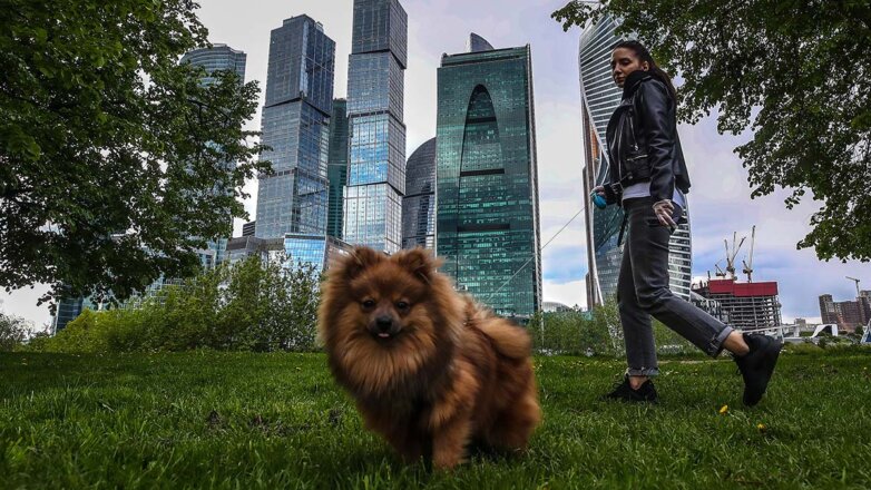 Какую ответственность должны нести владельцы домашних животных