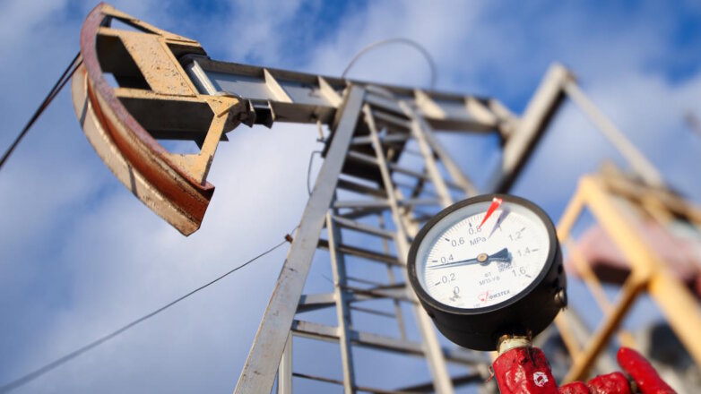 Сечин сравнил стоимость всех природных богатств России и США