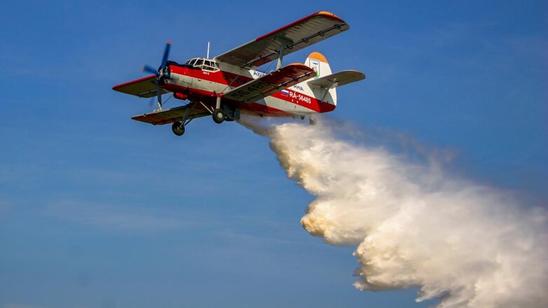 В России за сутки потушили 70 лесных пожаров