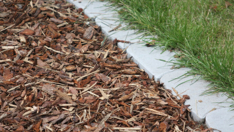 Садовод Туманов назвал полезные свойства мульчи для растений