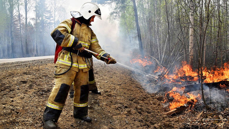 В МЧС РФ сообщили о рисках природных пожаров и наводнений предстоящей весной