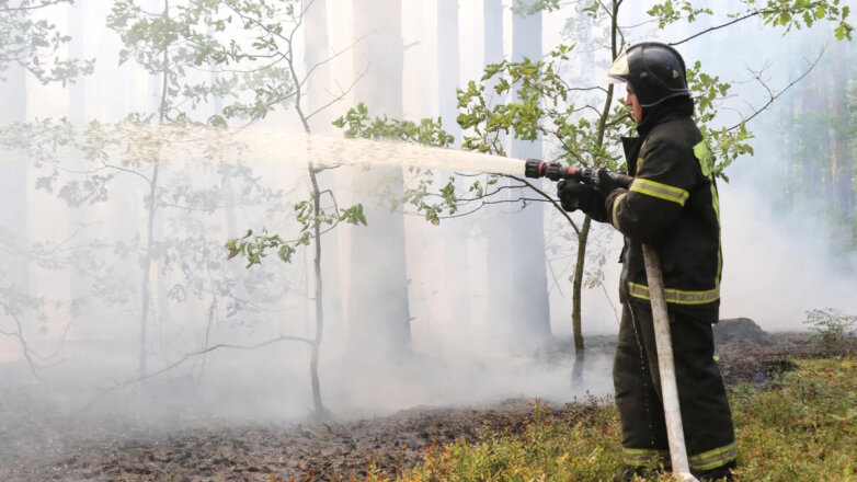 В регионах ЦФО и СЗФО прогнозируют высокий класс пожарной опасности