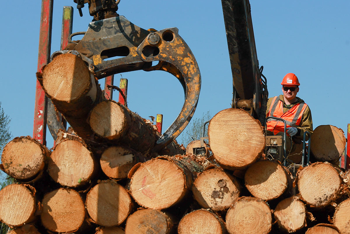 Сотрудник на лесозаготовительном предприятии в Костромской области