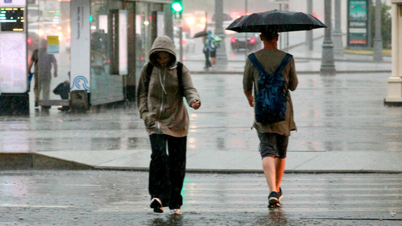 Около 40% месячной нормы осадков выпало в Москве и области за сутки