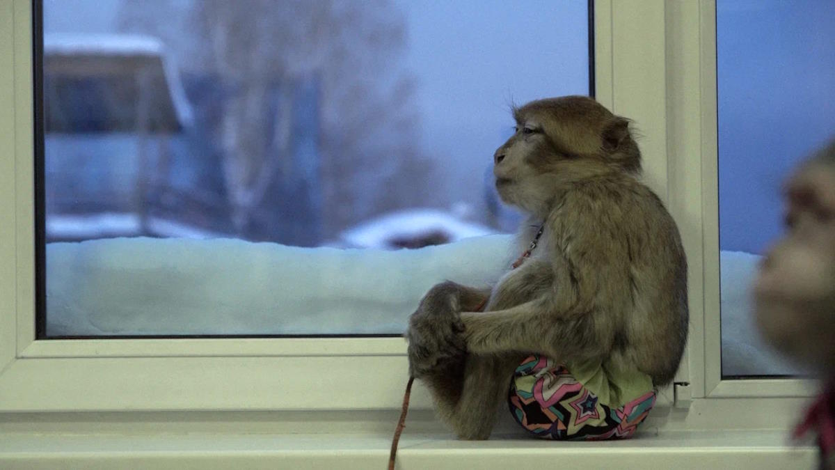 Кадр из фильма Сцена за сценой