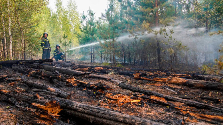 МЧС: особый противопожарный режим действует в 58 регионах России