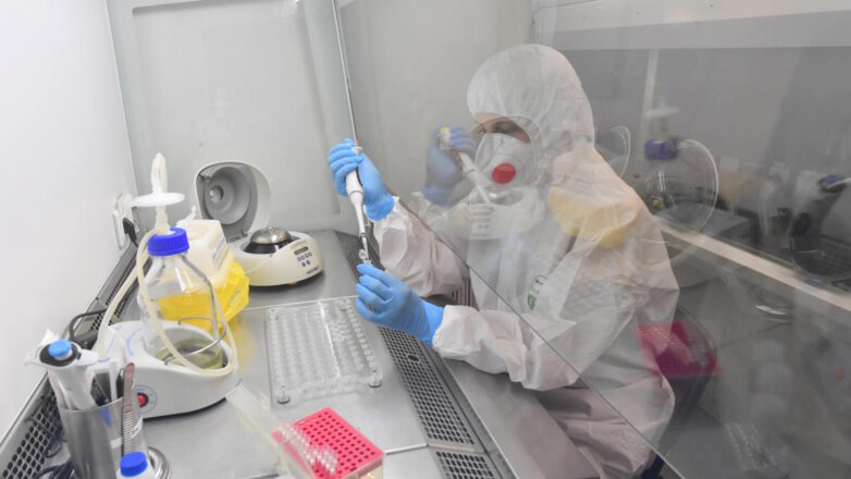 Лиссавирус не угрожает России: Роспотребнадзор успокоил граждан