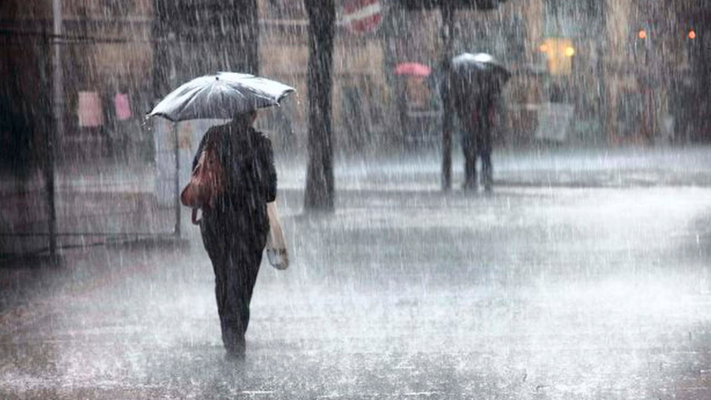 Вильфанд назвал регионы РФ, которые ждет дождливый август