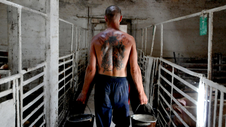 Исправление наказания: кому нужна гуманизация уголовного законодательства