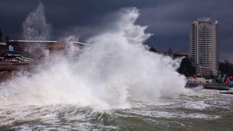 В Сочи ветер повалил более 80 деревьев и повредил кровли свыше 10 домов