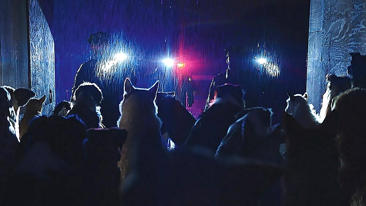 Венецианский кинофестиваль