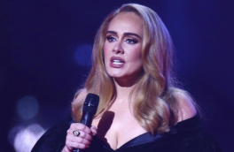 Адель остановила свой концерт, чтобы отругать охранника