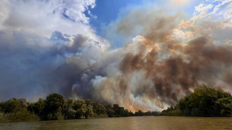 В Астраханском заповеднике потушили пожар