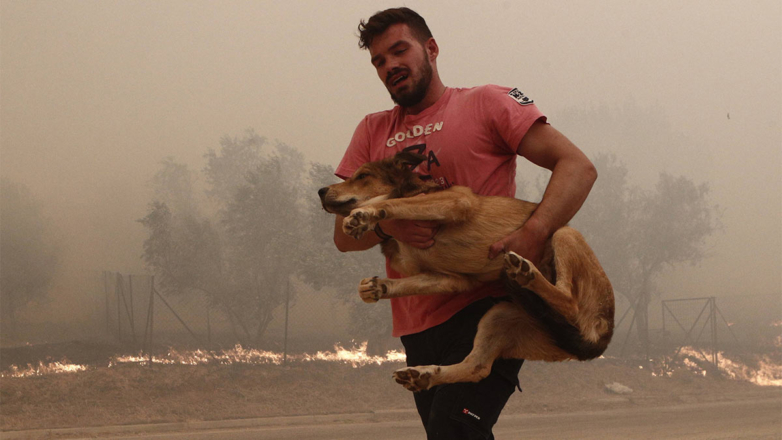 Жертвами крупного лесного пожара на северо-востоке Греции стали 18 человек