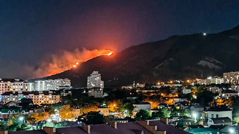 Лесной пожар в Геленджике распространился на 118 гектаров