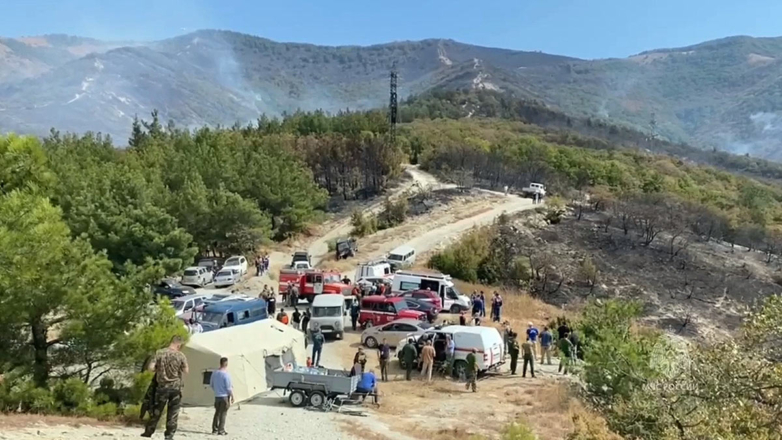 В Геленджике полностью ликвидирован крупный лесной пожар