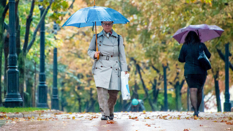 Вильфанд пообещал теплое начало октября в Москве