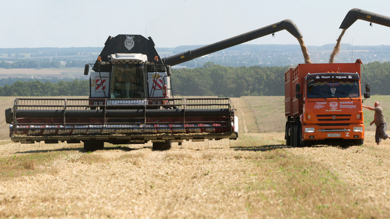 Министр Лут отчиталась о ходе страды: и темпы уборки, и средняя урожайность, и качество зерна выше, чем годом ранее