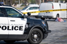 Самые громкие случаи массовой стрельбы в США за последние 5 лет