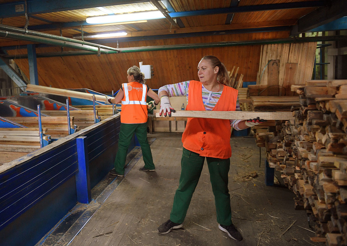 Переработка древесины