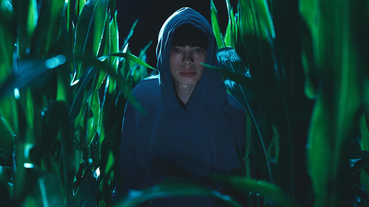 Кадр из фильма «Королевство зверей»