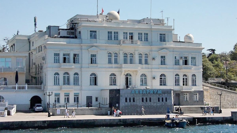 В Севастопольском аквариуме сообщили, что некоторые животные выжили после шторма