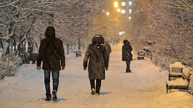 Вильфанд: вслед за метелью в Москву придут "январские" морозы
