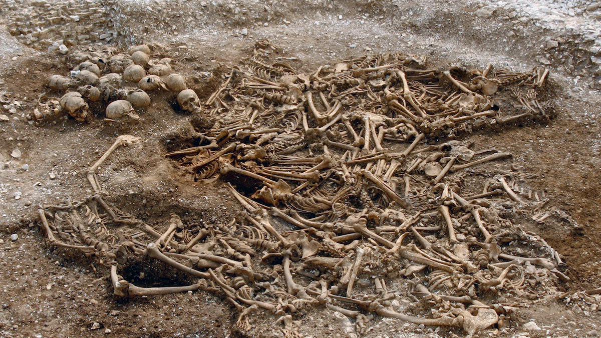 Обезглавленные викинги Дорсета