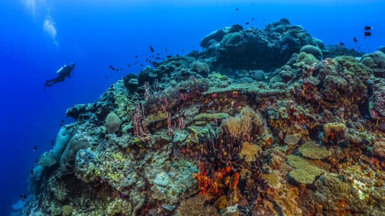 Ученые обнаружили потухший вулкан на дне Тихого океана