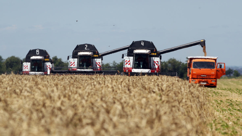 Кредитование сезонных полевых работ в России превысило отметку в триллион рублей