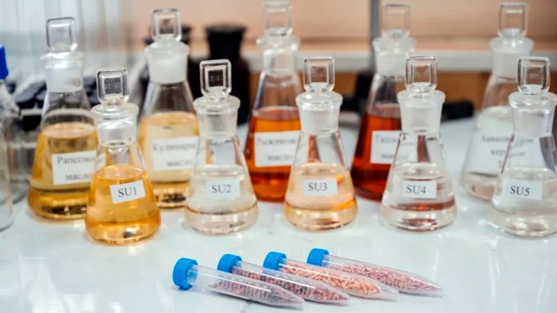 Томские ученые получили первые образцы авиатоплива из растительных масел