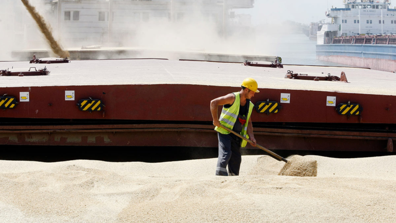 Россия сокращает экспорт зерна из-за низких цен на мировом рынке