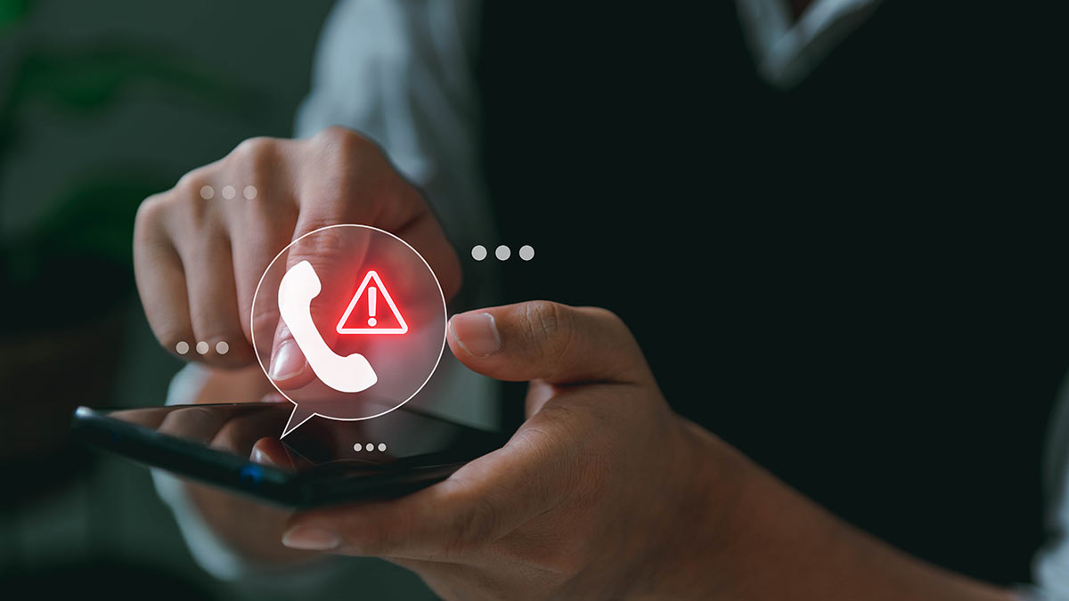 Кот с мешком