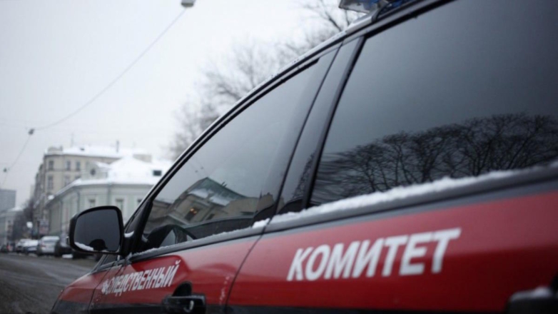 СК возбудил уголовное дело по 2 статьям после смерти младенцев в роддоме Новокузнецка