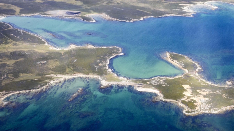 Новые власти Аргентины во главе с Милеем призвали Великобританию вернуть Фолклендские острова