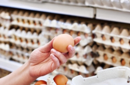 ФАС предупредила производителей яиц о запрете повышать цены