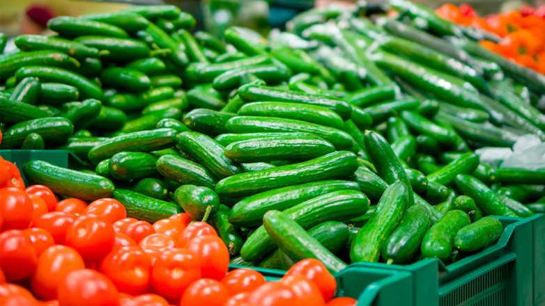 Минсельхоз РФ: томаты и огурцы подешевеют с началом поставок нового урожая из теплиц