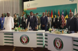 Справка "Профиля": ЭКОВАС, история сообщества и его цели