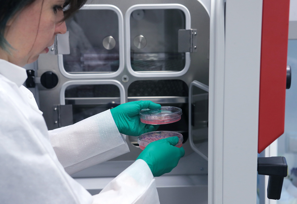 Производство культивируемого мяса в России