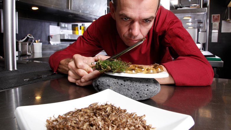 Мухи с котлетами: кто и зачем хочет приучить человечество есть растительное мясо и насекомых