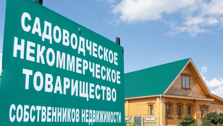 Дачное сообщество: проблемы СНТ и пути их решения