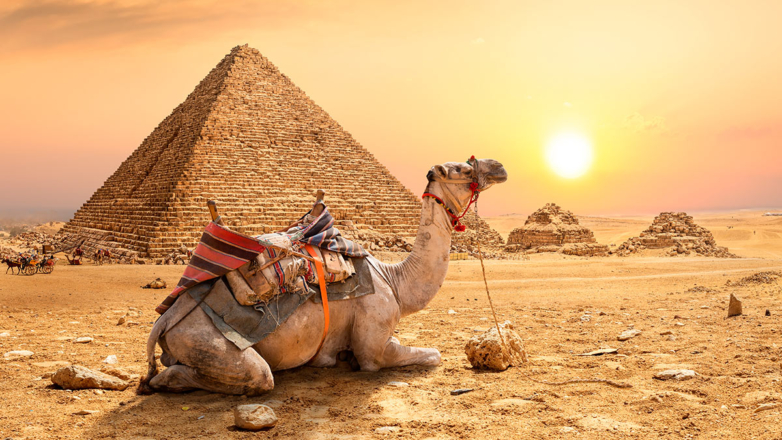 Туроператоры сообщили о снижении цен на путевки в Египет