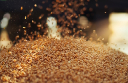 Путин поручил правительству проработать вопрос поставок зерна в Египет